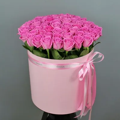 Купить 61 роза \"Aqua\" в розовой коробке в Краснодаре