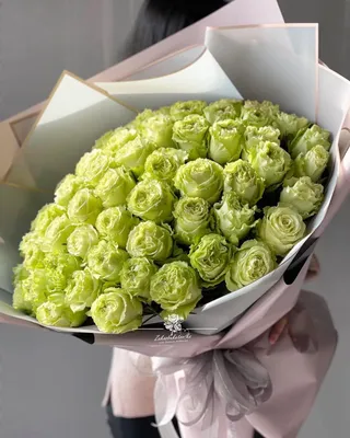ᐉ Заказать 61 фисташковая роза в оформлении в Москве | Интернет-магазин  цветов и букетов «ZakazBuketov»
