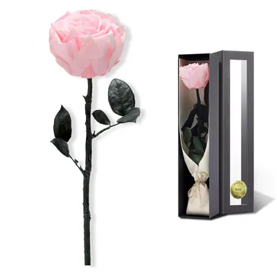 61 красная роза Гран При 60 см - купить цветы с доставкой | BUKETLAND
