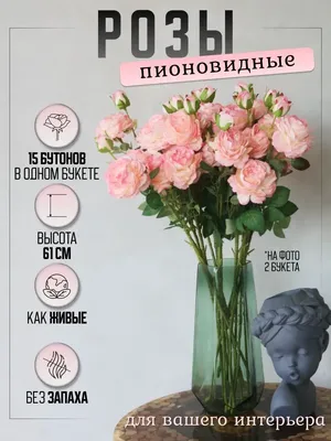 Розовые розы с росой - 61 фото