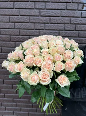 Букет из 61 розы сорта талея, артикул F1122426 - 8250 рублей, доставка по  городу. Flawery - доставка цветов