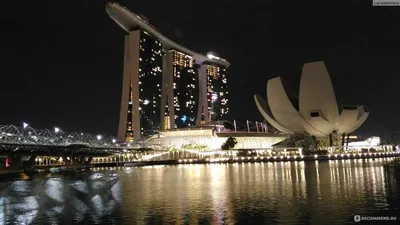 Новые отели Сингапура: девять хитов, которые покорят любого туриста |  Ассоциация Туроператоров