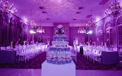Фиолетовый свадебный зал - 74 фото