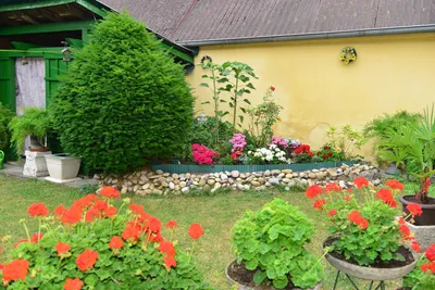 Ein Garten in Bad Deutsch Altenburg - Bruck an der Leitha