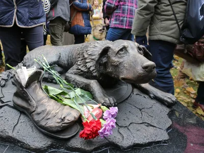 В московском парке \"Музеон\" открыли памятник бездомным животным - РИА  Новости, 05.10.2019