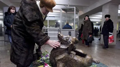 Самые известные памятники собакам – DW – 15.02.2018