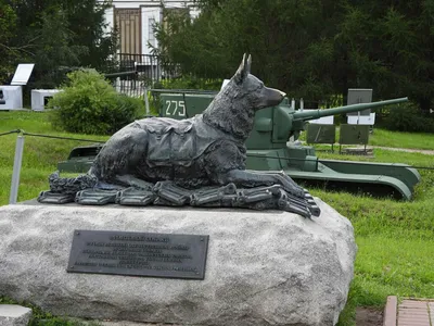 Фронтовая собака, памятник, мемориал, Москва, Западный административный  округ, район Дорогомилово, территория парка Победы — Яндекс Карты