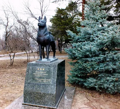 Памятники собакам в России, часть 1