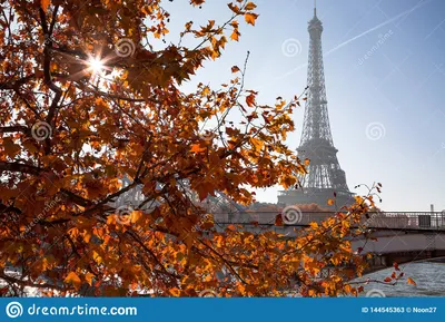 осень paris стоковое изображение. изображение насчитывающей ñ ð²ðµñ‚ -  144545363