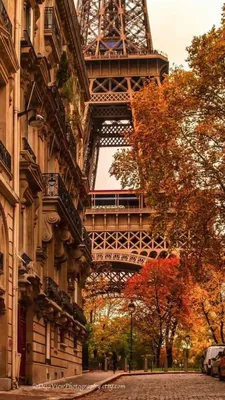 autumn in Paris | Autumn scenery, Fall pictures, Fall wallpaper