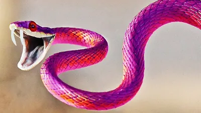Клубки змей повсюду: в Днепре и области обнаружили рекордное количество  пресмыкающихся (Фото). Новости :section-UKR.NET.