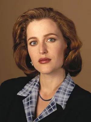 Gillian Anderson Cements Her Icon Status in 'The First Lady' — Eleanor  Roosevelt The Crown