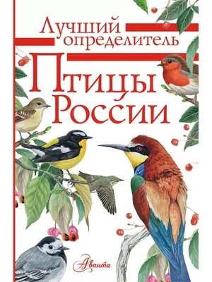 Птицы России/ Лучший определитель Издательство АСТ 9250119 купить за 388 ₽  в интернет-магазине Wildberries