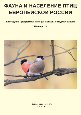 PDF) Программа мониторинга гнездящихся птиц в Европейской части России:  итоги первого десятилетия