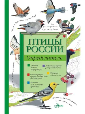 Птицы России. Определитель Издательство АСТ 4226488 купить в  интернет-магазине Wildberries