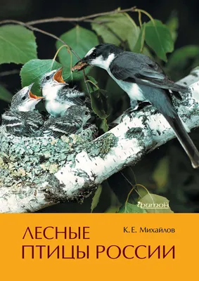 Лесные птицы России», Константин Михайлов – скачать pdf на ЛитРес