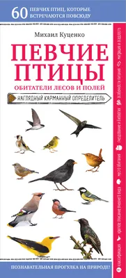 Певчие птицы. Обитатели лесов и полей, Михаил Куценко – скачать книгу fb2,  epub, pdf на Литрес