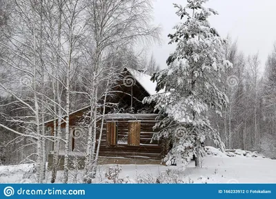 Зимний пейзаж с домом стоковое фото. изображение насчитывающей взгляд -  166233912