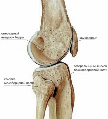 Клиника стопы доктора Олейника Footclinic СПб - На прошлой неделе  оперировал интересный случай: у пациентки был несросшийся перелом  ладьевидной кости. Из-за этого были боли по внутренней стороне стопы, в  месте прикрепления сухожилия