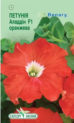 Квіти - петунія Гібридна Аладдін оранжева F1 10 нас. (Елітсорт) |  Інтернет-магазин 2sotki | Петунії | Каталог товарів