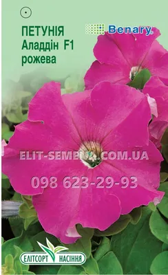 Цветы Петуния Аладдин розовая 10шт