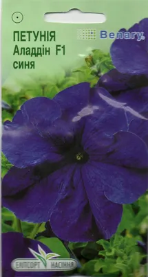 Купить семена Цветы Петуния Аладдин F1 синяя 10шт Елитсортсемена |  Golandka.com