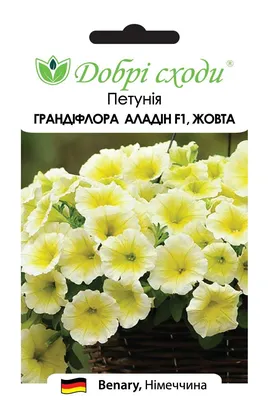 ▻ Семена цветов Петуния Аладин F1 грандифлора желтая ─ купить в интернет  магазине в Украине