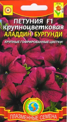 Семена Петуния крупноцветковая Аладдин Бургунди F1, 10 драже Плазмас -  купить в Москве - sbermegamarket.ru