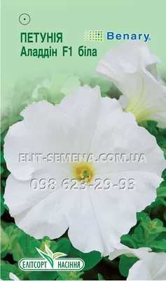 Цветы Петуния Аладдин белая F1 10шт