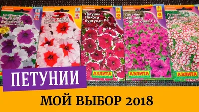 Какие семена петуний купила на 2018г. Выбираем лучшие сорта - YouTube