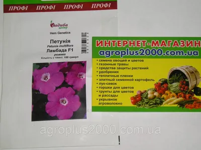 Семена Петуния Многоцветковая Ламбада F1 Розовая 100 Семян Hem Genetics —  Купить Недорого на Bigl.ua (618860575)