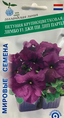 Семена Петуния крупноцветковая Лимбо F1 Джи Пи Дип Парпл (Hem Genetics) -  купить по выгодной цене | Урожайка