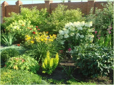 Многоуровневый миксбордер с пионами и гладиолусами (21-11) | Ландшафтный дизайн  садов и участков | Гарден и Я | ПОДБОРКА фотографий сада