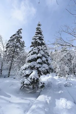 Отдых на озере Селигер зимой -Новости