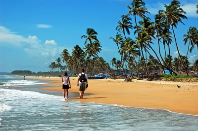 Какой пляж северного Гоа выбрать для отдыха?