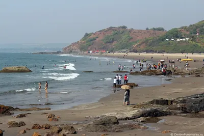 Гоа ждет россиян: новые правила отдыха на индийских пляжах - РИА Новости,  02.11.2022