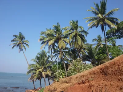 пляж Анджуна Гоа 2021 | Северный Гоа | когда откроют границы | Последнее  видео Гоа | гоа январь 2021 - YouTube