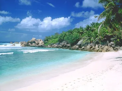 Пляжи Гоа — топ 10 лучших Северного и Южного » Travel Guide