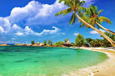 Выбираем лучший пляж Гоа для отпуска