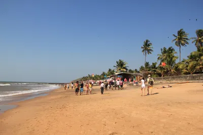 Пляж Кандолим или Candolim Beach из категории самые лучшие пляжи Индии -  фото путеводитель