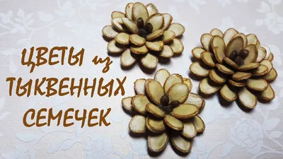 Цветы из тыквенных семечек / DIY - YouTube