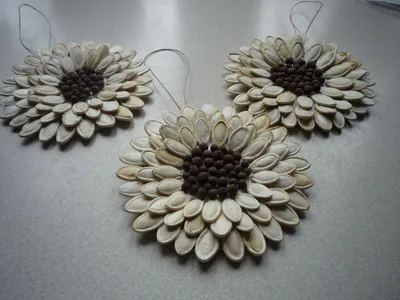 Pin by Ela Quba on Kwiaty | Seed craft, Pumpkin seed crafts, Flower crafts