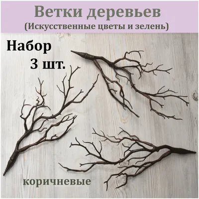 Ветка дерева для поделки — купить по низкой цене на Яндекс Маркете