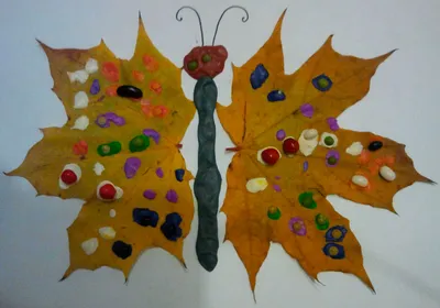 Бабочка из листьев, поделка-аппликация на тему осень: как сделать бабочку  из осенних листьев, шишек и сухих листьев, из каштанов и клена,  картинка-композиция своими руками – шаблоны для поделки из листьев деревьев