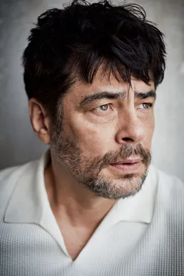 Обои Бенисио Дель Торо, Benicio Del Toro, американский актер картинки на  рабочий стол, раздел мужчины - скачать