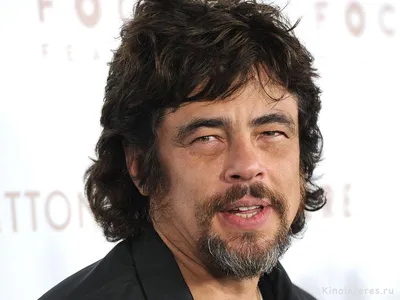 Бенисио дель Торо (Benicio del Toro) (Продюсер, Актер, Член жюри,  Режиссер): фото, биография, фильмография, новости - Вокруг ТВ.