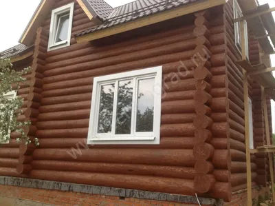 Обработка сруба дома Масловоском, покраска дома из бревна в цвет орех и  белый, тонеровка бревен дома