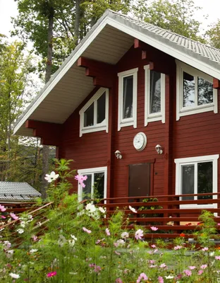 Покраска деревянного дома: цена профессиональной покраски деревянных домов  от GoodWood