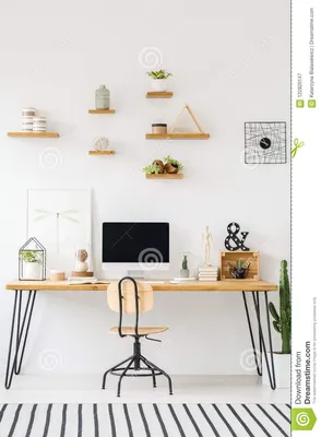 Деревянные полки с заводами и баками на белой стене, над в Стоковое  Изображение - изображение насчитывающей офис, фрилансер: 122820147