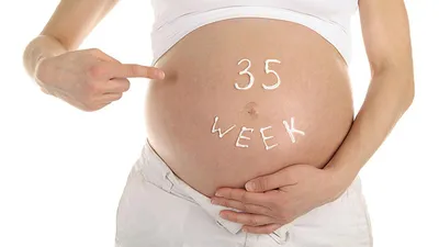 Третий триместр беременности – «Интернет-кабинет здорового ребенка»